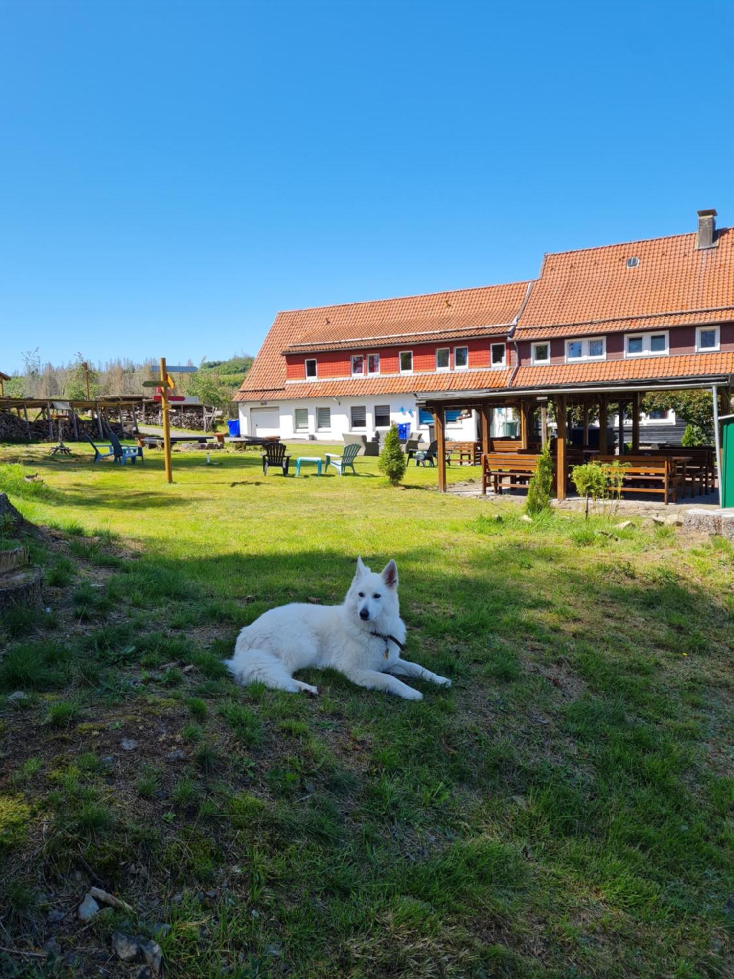 Welt Lodge Альтенау Экстерьер фото