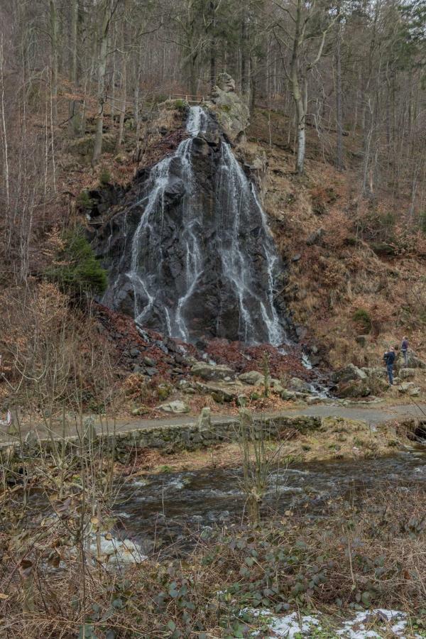 Welt Lodge Альтенау Экстерьер фото