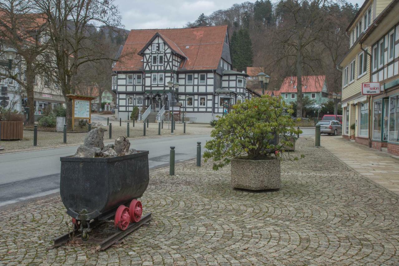 Welt Lodge Альтенау Экстерьер фото