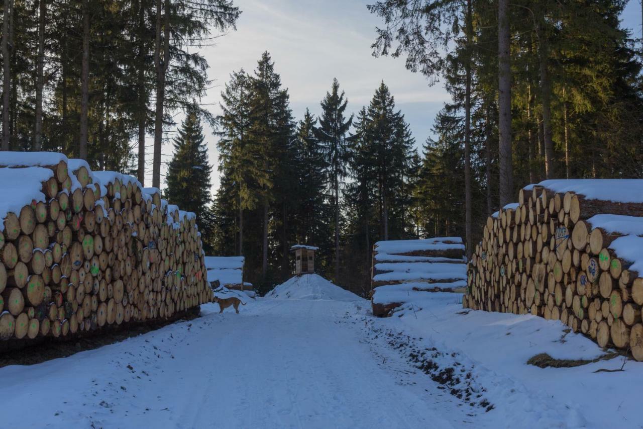 Welt Lodge Альтенау Экстерьер фото